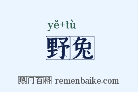 野兔是什么意思的图片